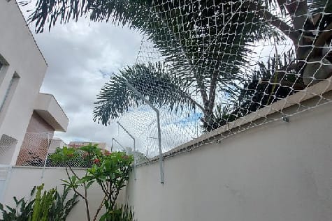 Cercamento Para Gato