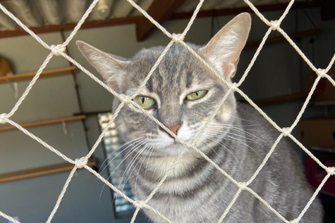 Mais no Instagram...